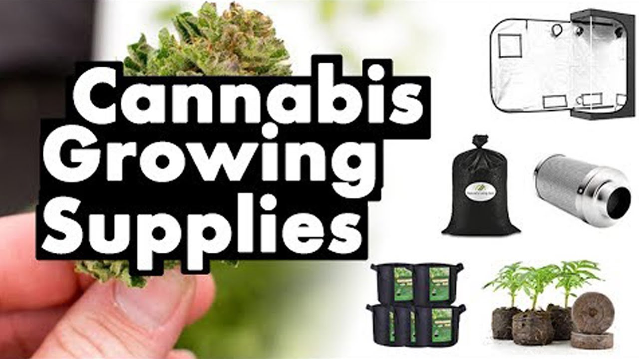 Our Guide On Cannabis Growing Supplies | Everything You Need | The Seed Fair