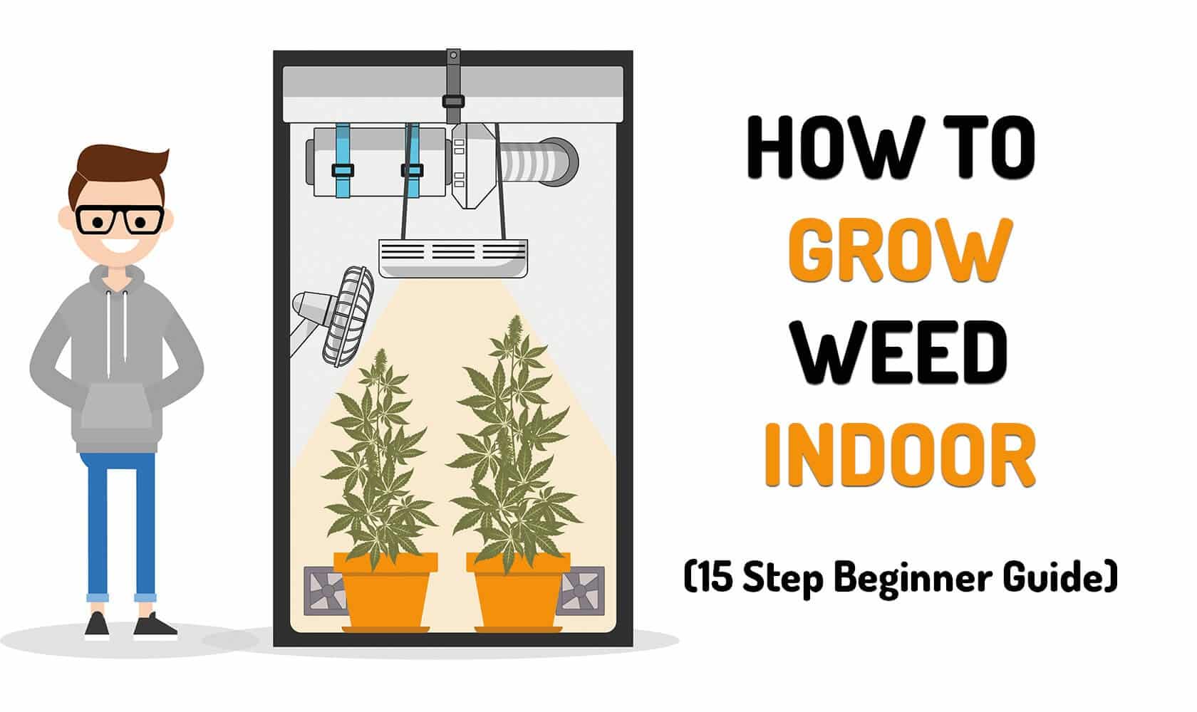 Growing Weed Indoors Step By Step | Our Tutorial On Weed Growing | The Seed Fair