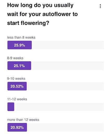 how long to wait for an autoflower to start flowering - poll