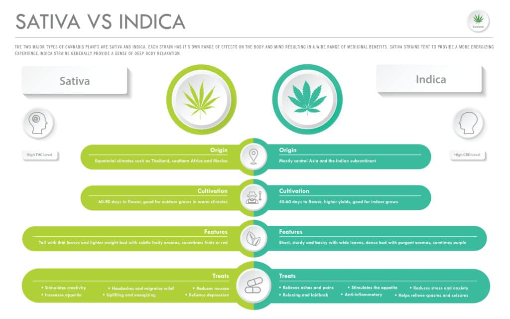 Another view of a comparison between indica and sativa strains