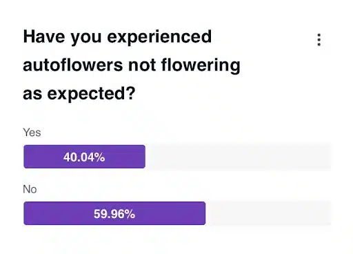 autoflower harvest poll