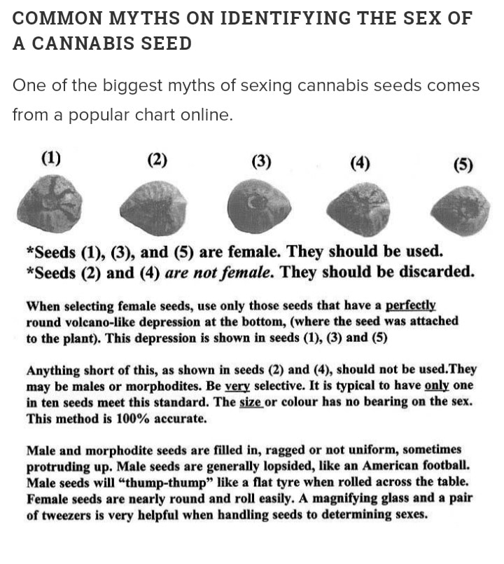 the chart showcasing how to determine a female seed