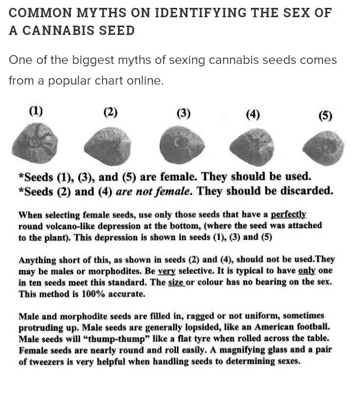 the chart of determining cannabis seeds genders | The Seed Fair the chart showcasing how to determine a female seed