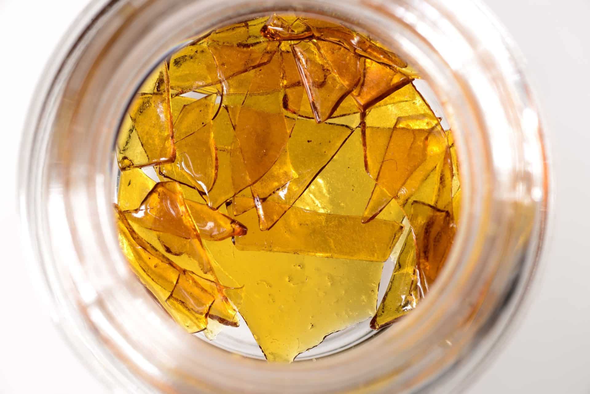 Is Eating Shatter Was Good For You | Our Guide On Eating Shatter | The Seed Fair