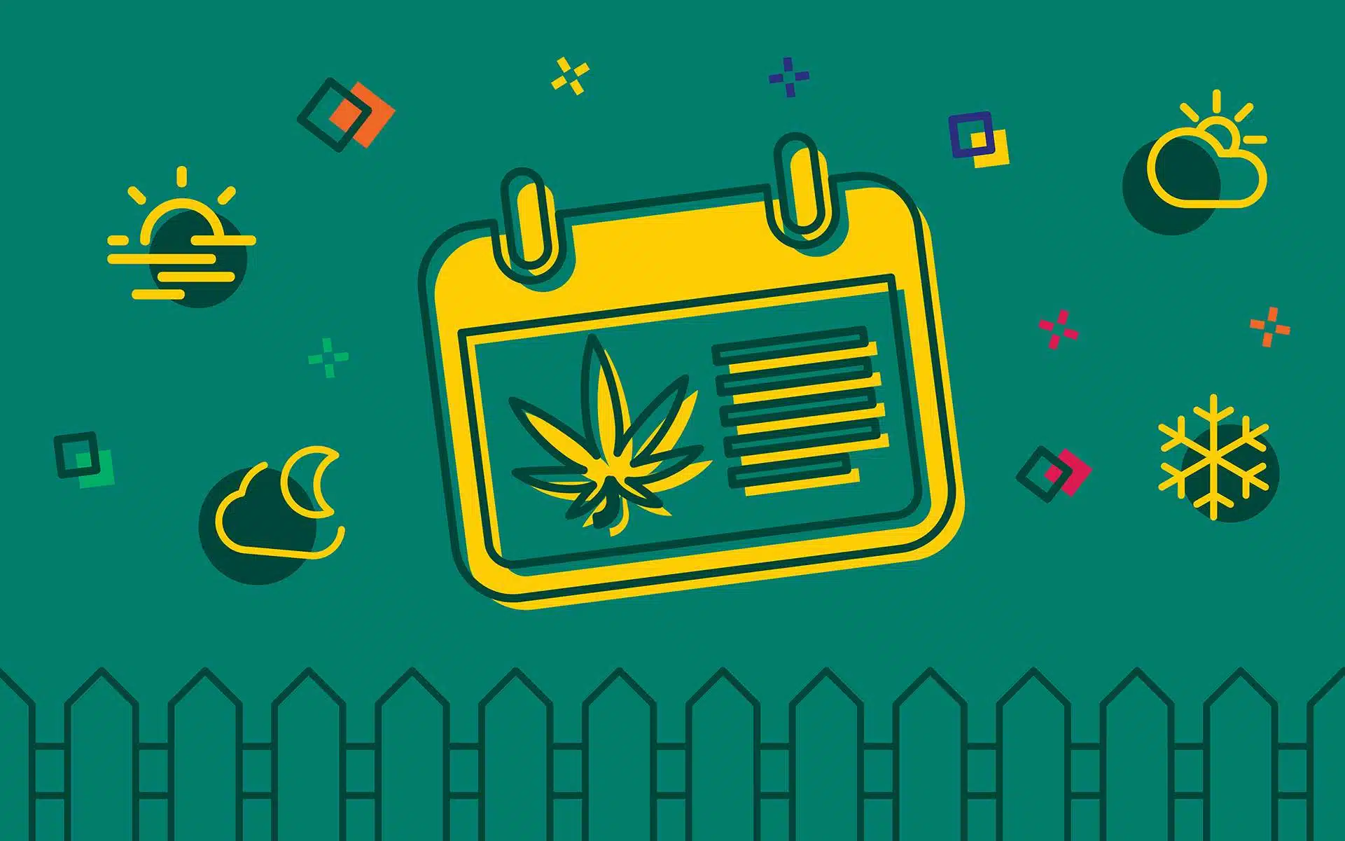 Quelles sont les saisons idéales pour la culture de l'herbe ? | Notre guide sur la culture de l'herbe | La foire aux graines
