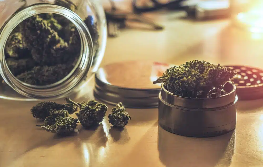 dried and cured cannabis in a jar next to a grinder