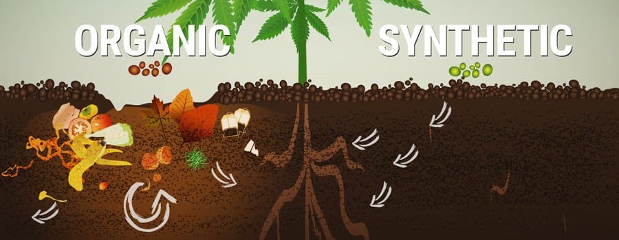 Ten Best Organic Fertilizer For Marijuana | Our Guide | The Seed Fair