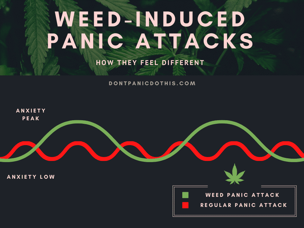 How To Handle A Weed Panic Attack Induced By Marijuana | Our Guide | The Seed Fair