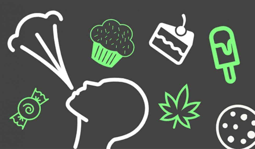 Here Is A List Of Weed That Doesn't Make You Hungry | Our Guide | The Seed Fair