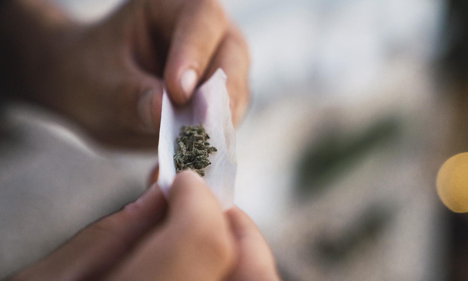 How To Roll A Joint | Our Guide On How To Properly Roll A Joint | The Seed Fair