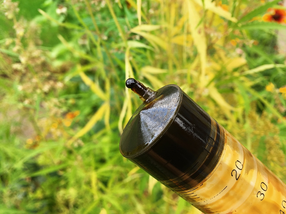 A syringe containing dark live resin extract from cannabis
