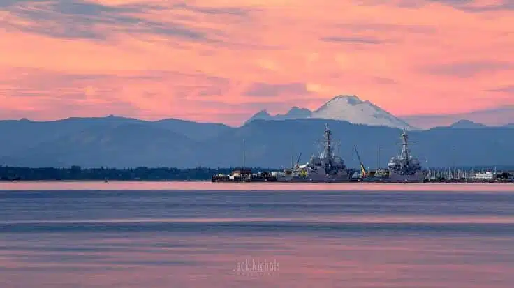 Buy Marijuana Seeds Everett, Washington | The Seed Fair | The Seed Fair Buy Marijuana Seeds Everett, Washington | The Seed Fair