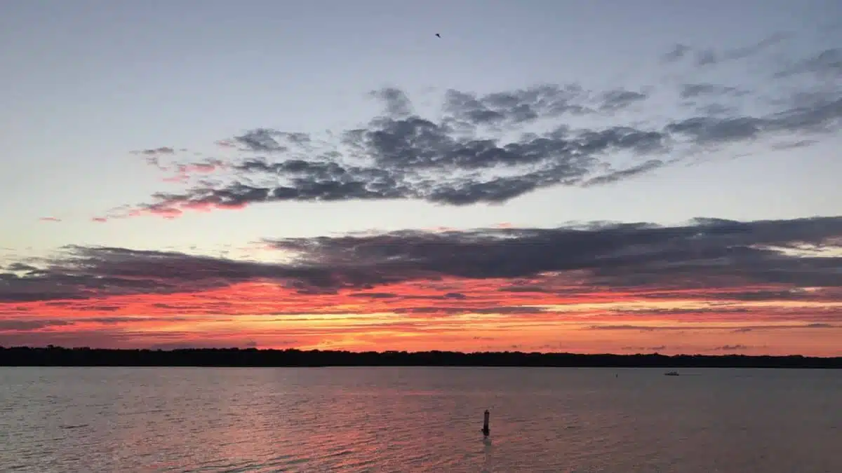 No image provided or no title added