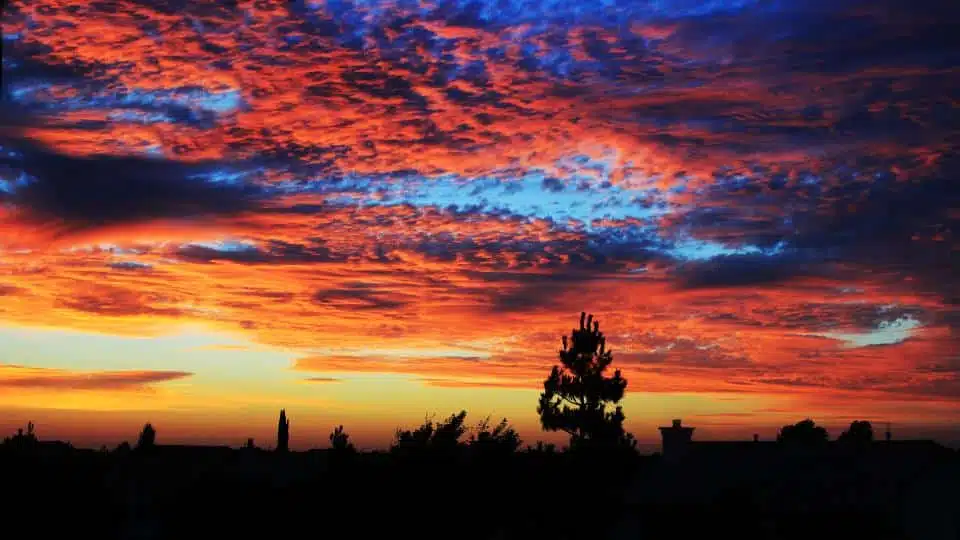 Buy Marijuana Seeds Sacramento, California | The Seed Fair | The Seed Fair Buy Marijuana Seeds Sacramento, California | The Seed Fair