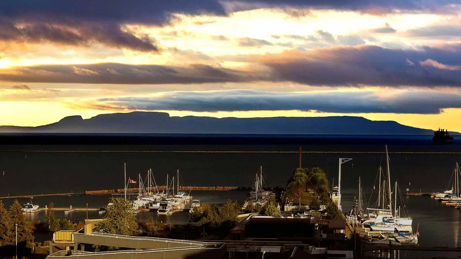 Buy Marijuana Seeds Thunder Bay, Ontario | The Seed Fair