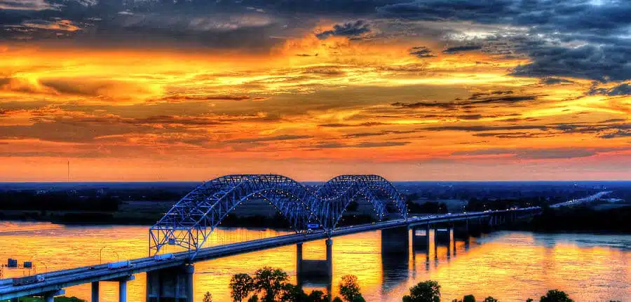 Buy Marijuana Seeds Memphis, Tennessee | The Seed Fair