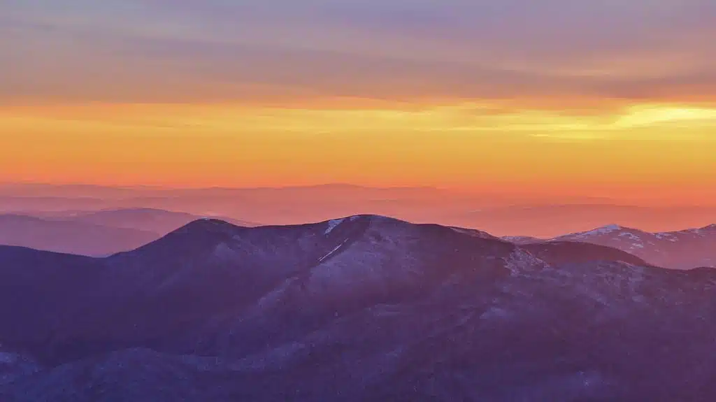 No image provided or no title added