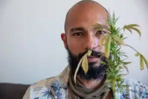 Does a cannabis plant need wind? | The Seed Fair