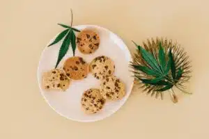 Can You Manage Your Weight by Smoking Weed? | The Seed Fair
