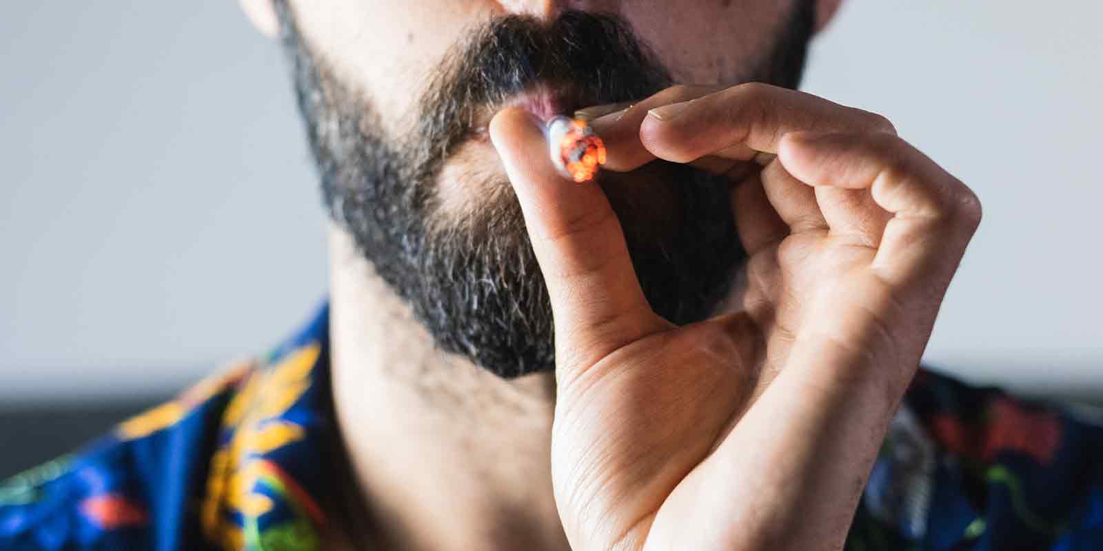 What Type of Cannabis Does Not Cause a Hangover? | The Seed Fair