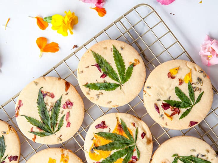 Why Does Weed Make You Hungry? | The Seed Fair