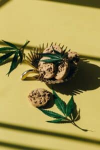How Does Weed Make You Hungry? | The Seed Fair