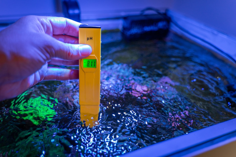 Using a pH pen to test water parameters