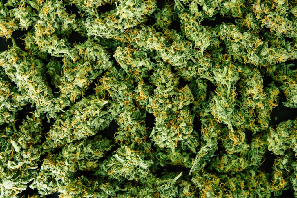 What is Mid-Grade Weed: Displays the physical characteristics of mid grade weed, including its color, texture, and density. A visual reference for identifying mid grade weed.