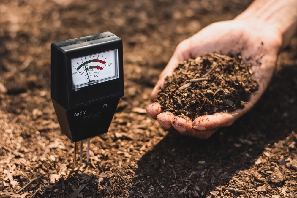 a soil sensor for measuring fertility and EC