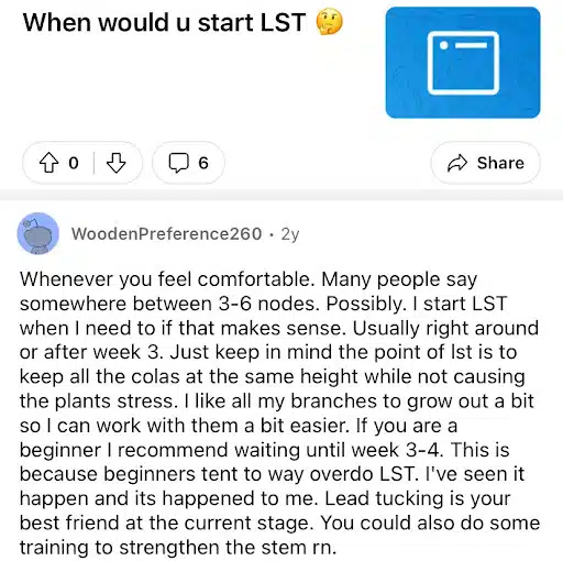 comment from a growers forum about when to start lst for autoflowers | The Seed Fair when to start lst autoflowers