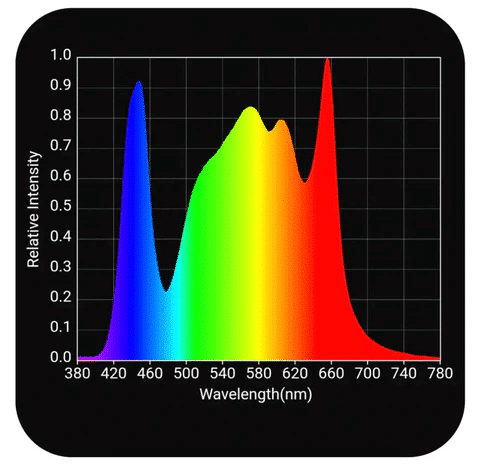a graph showing light intensities at different wavelengths