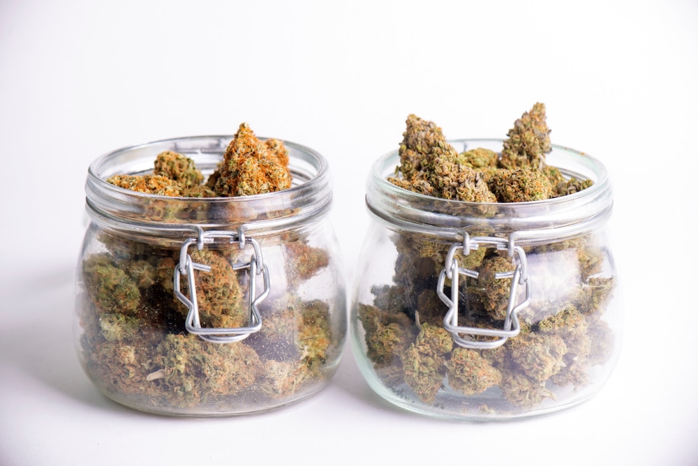 buds stored in mason jars to enhance the flavor of weed