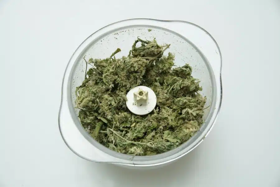 How to make hash in a blender shown through a blender packed with cannabis flowers