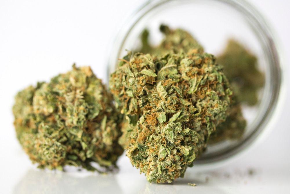 Buds stored in a jar to enhance the flavor of weed