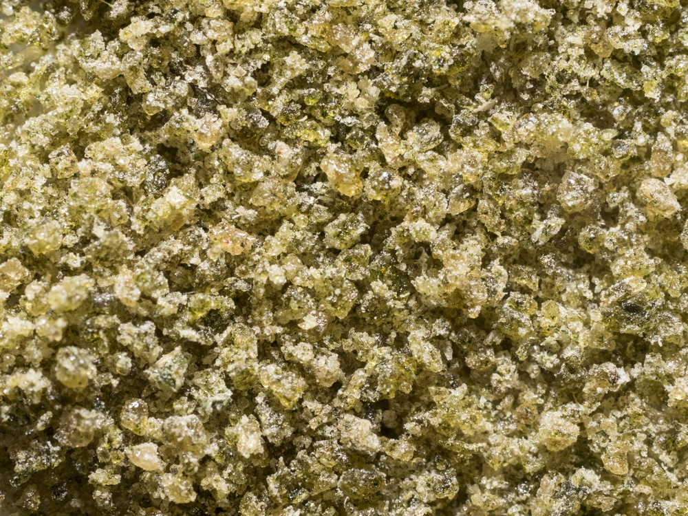 a closeup of resin-heavy bud