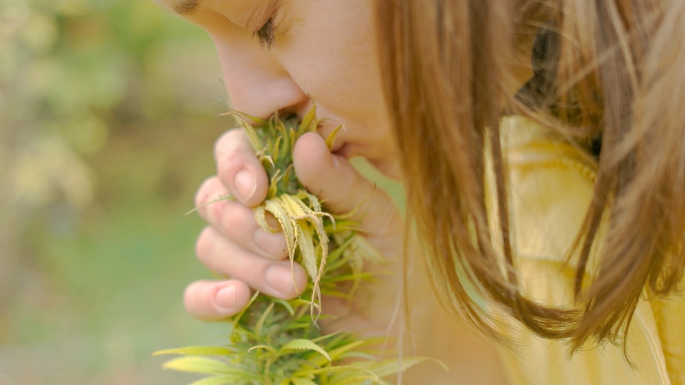 Young woman smelling a sour diesel bud