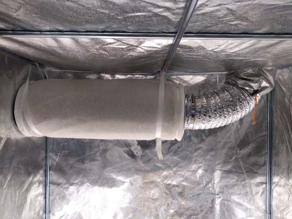 Extraction fan and a carbon filter in a grow tent setup