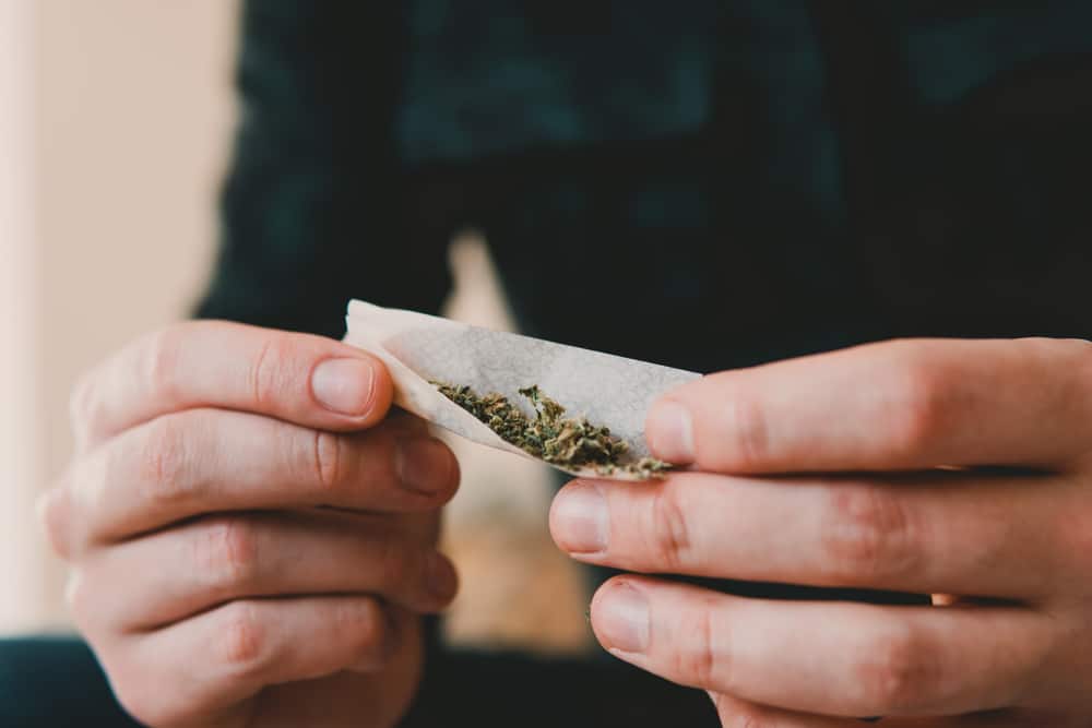 Man rolling a cannabis joint