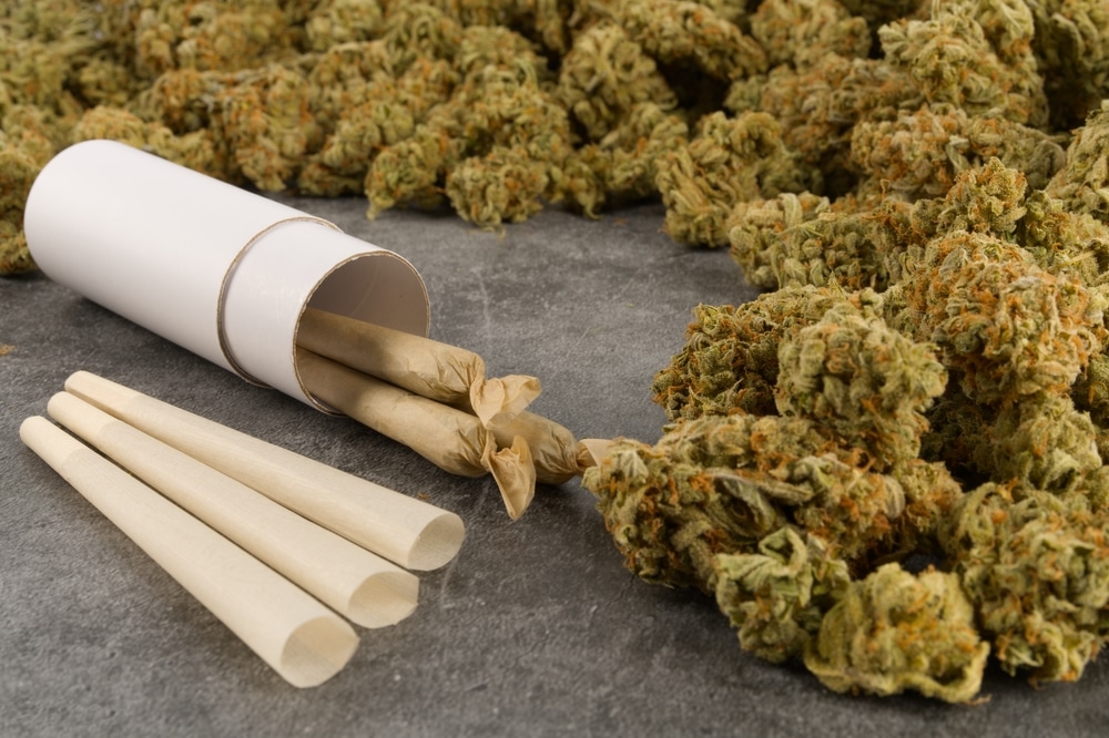 The best strains for music, cones bud and rolling papers