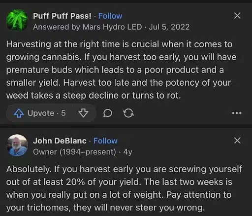 | The Seed Fair screenshot - harvest too early