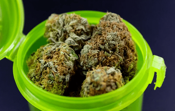 A green glass jar filled to the brim with potent cannabis buds, featuring vibrant orange hair on weed, giving a hint of their high quality and strength.
