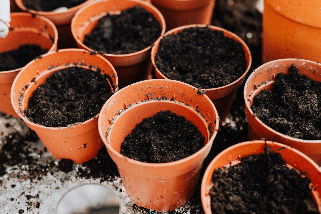 best soil to grow marijuana