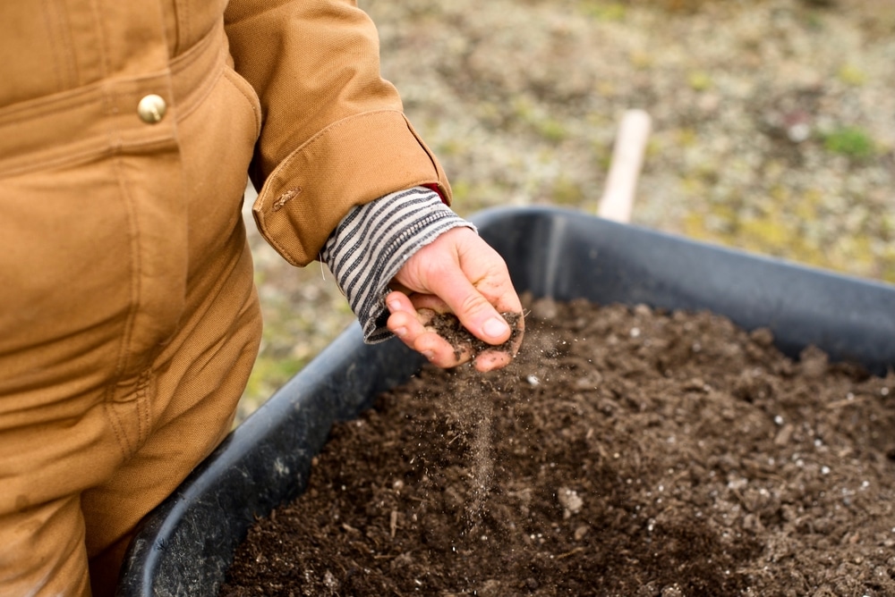 Adding extra nutes to soil for marijuana plants