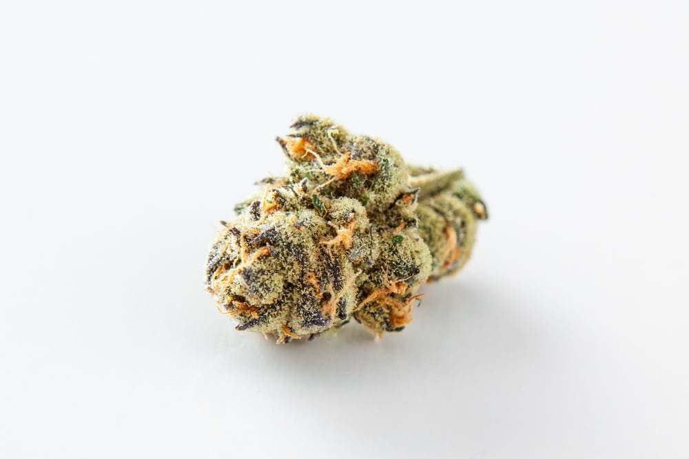 marijuana growing tips, cured bids in a glass jar