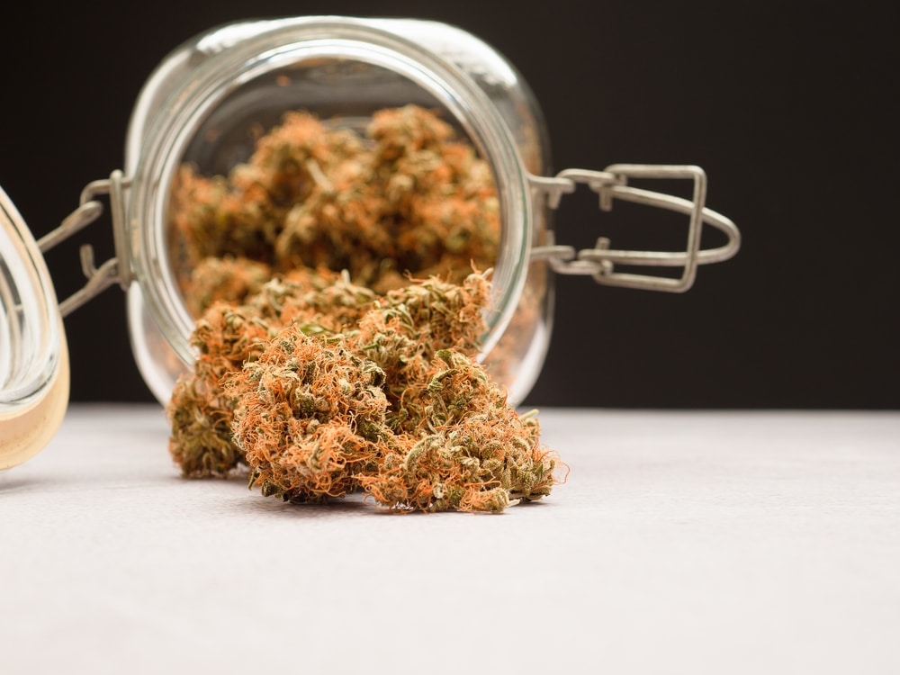 what marijuana seeds produce buds