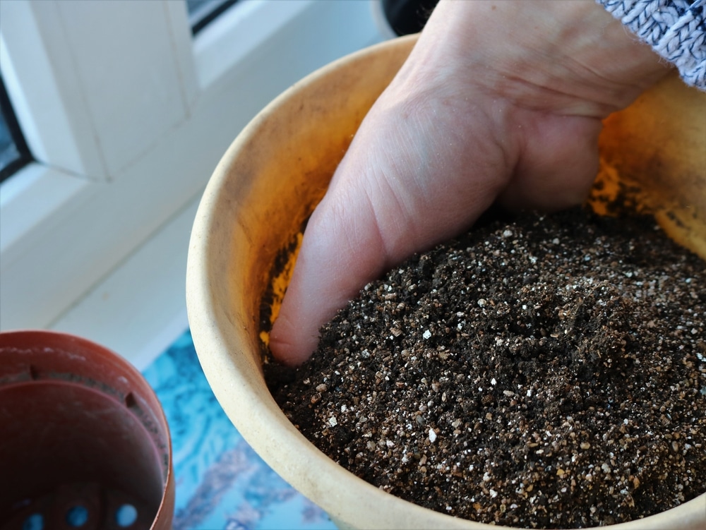 do you seed before or after soil, mixing fresh