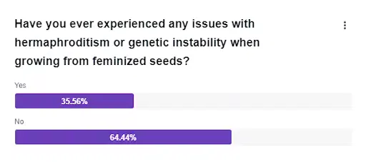 Hermies issue with feminized seeds - poll