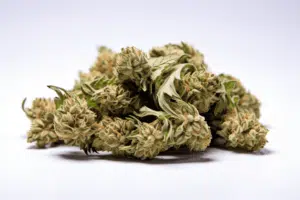 Tropicana Cherry weed strain | The Seed Fair Tropicana Cherry weed