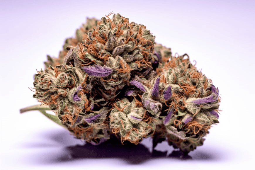 Purple Sunset Cannabis Strain
