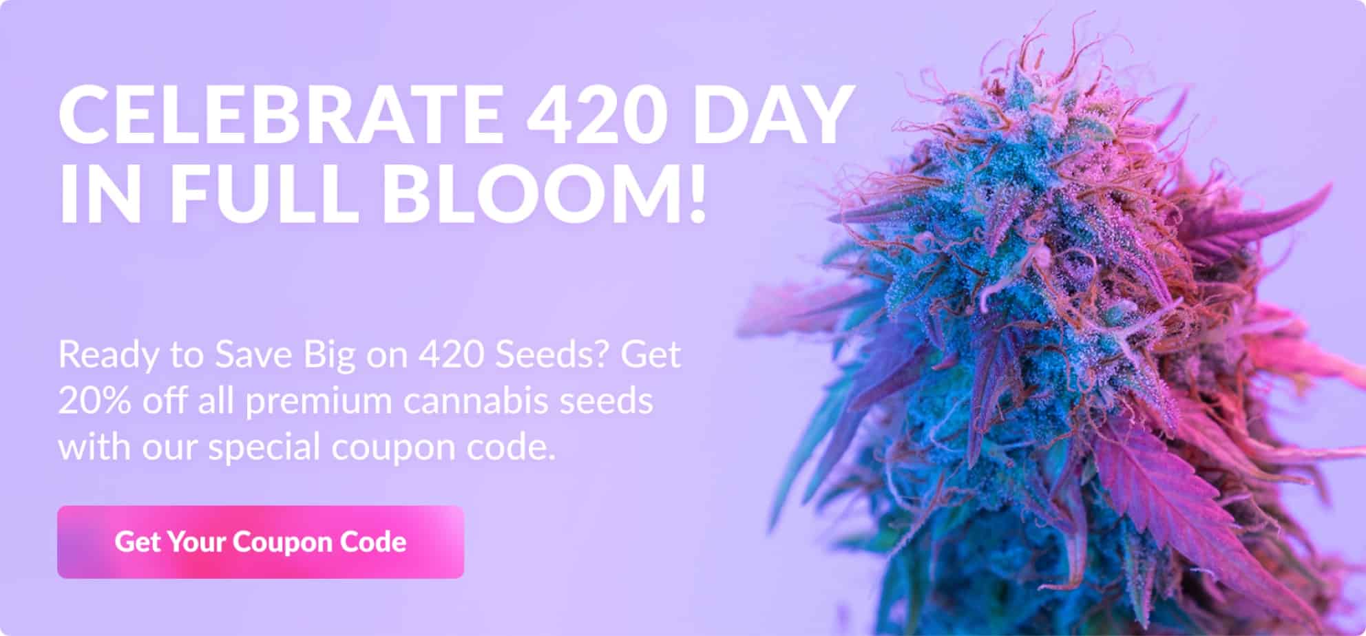 420 Seeds Sale